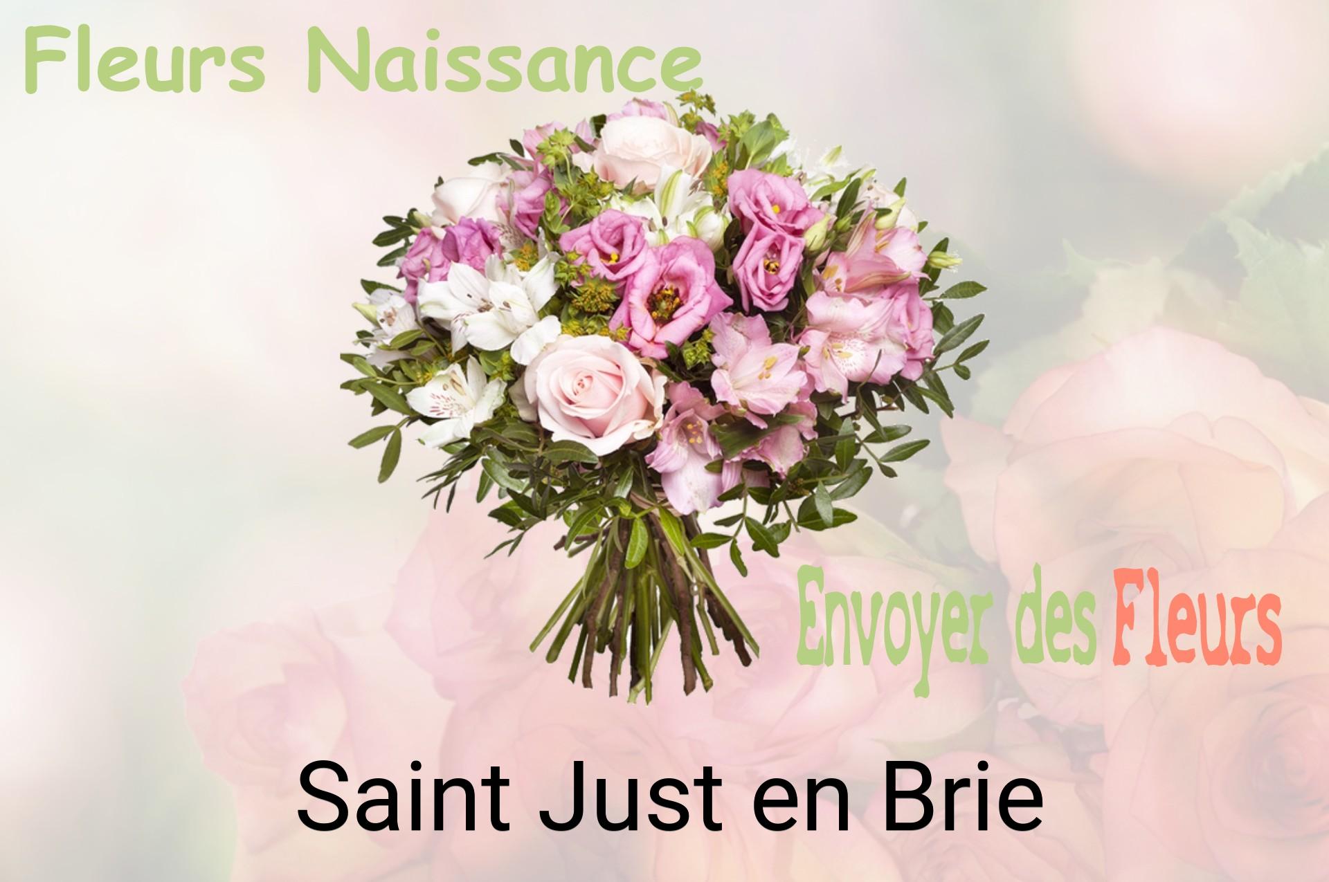 Bouquet de fleurs de naissance livré à Saint-Just-en-Brie